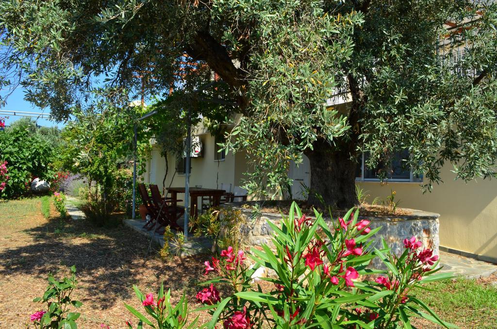 Villas Zoe Ksanemos Bagian luar foto