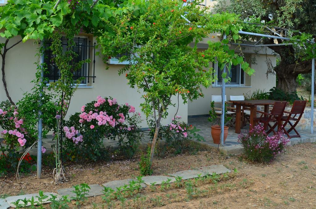 Villas Zoe Ksanemos Bagian luar foto