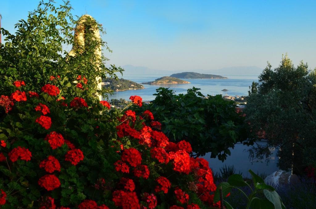 Villas Zoe Ksanemos Bagian luar foto
